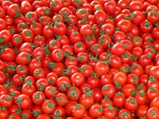 tomatoes-73913_1920